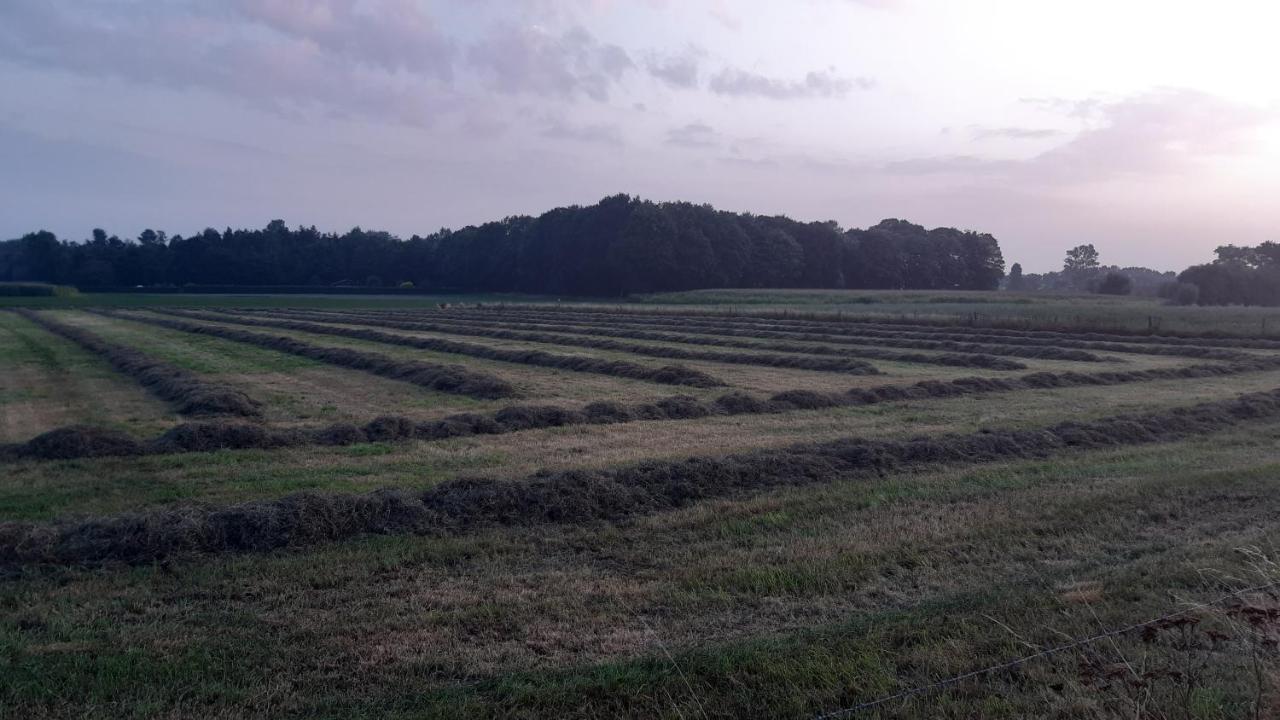 Zee-Van-Tijd Oudenburg Luaran gambar